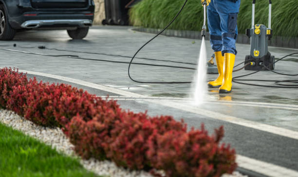 Local Pressure Washing Services in Lakeshore, LA
